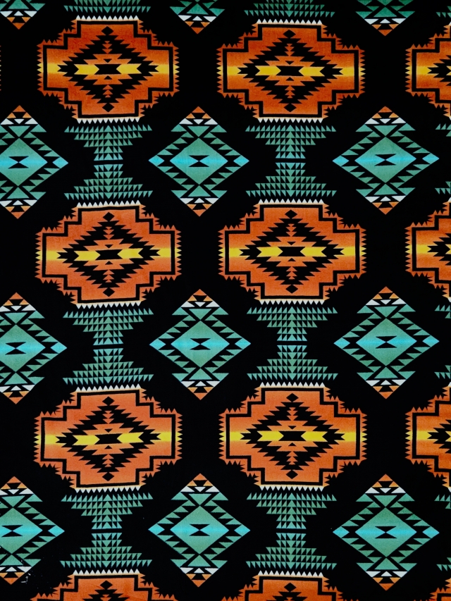 BLACK Windrunner Native American Fleece Fabric